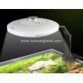 Good Quality Efficiently Led Aquarium Light For Fish